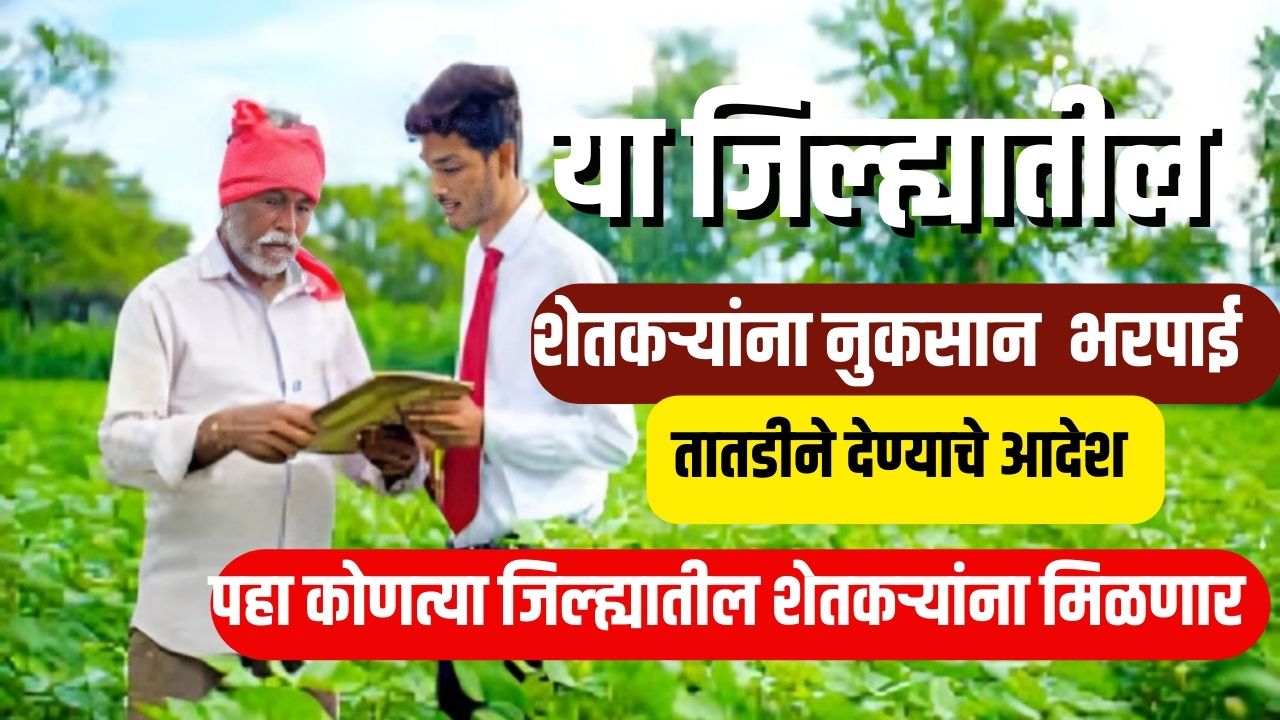 या जिल्ह्यातील शेतकऱ्यांना तातडीने नुकसान भरपाई देण्याचे आदेश : कृषी मंत्री मुंढे